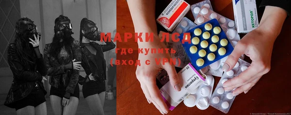 ГАЛЛЮЦИНОГЕННЫЕ ГРИБЫ Алексин