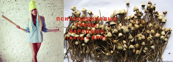 гашишное масло Алзамай