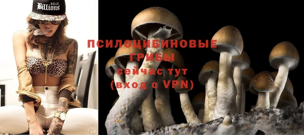 ГАЛЛЮЦИНОГЕННЫЕ ГРИБЫ Алексин