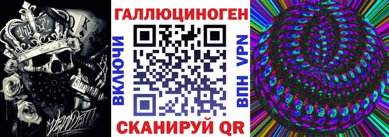 Галлюциногенные грибы Cubensis  купить закладку  Нюрба 